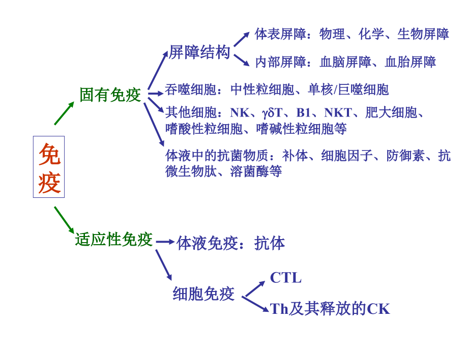 固有免疫(0002).ppt_第2页