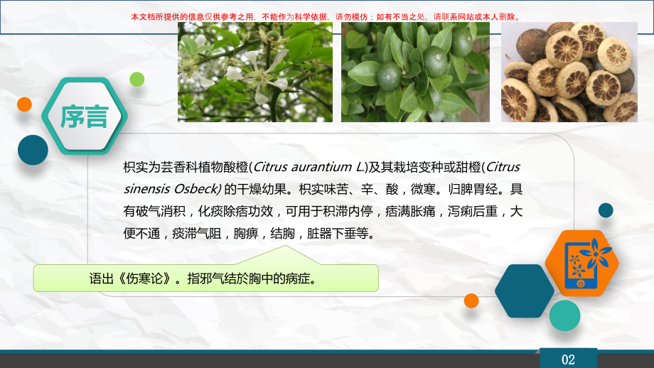 枳实中药药理学研究培训课件.ppt_第1页