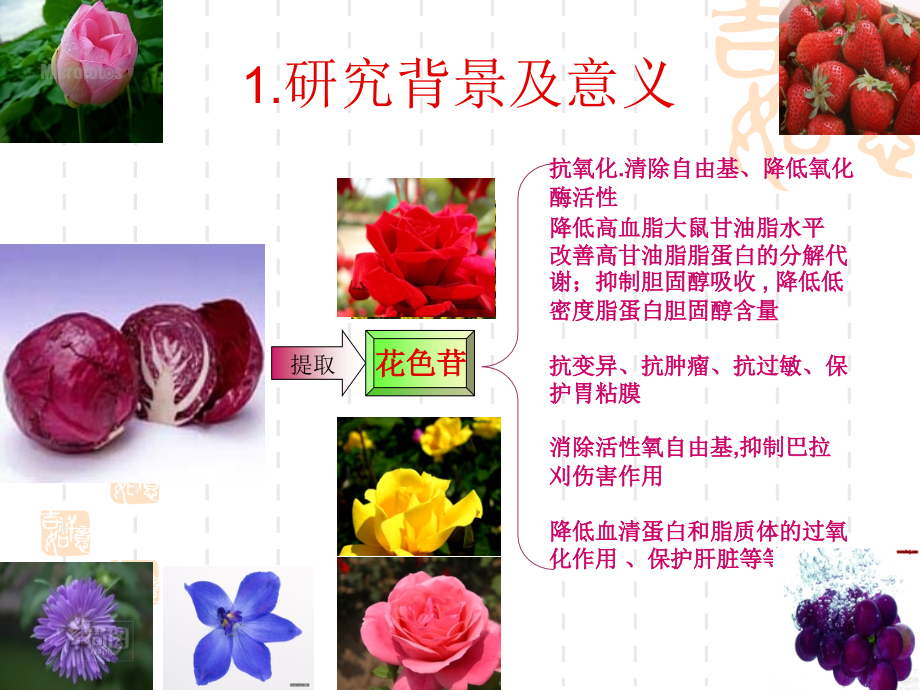 红甘蓝花色苷的提取纯化、稳定性.ppt_第2页