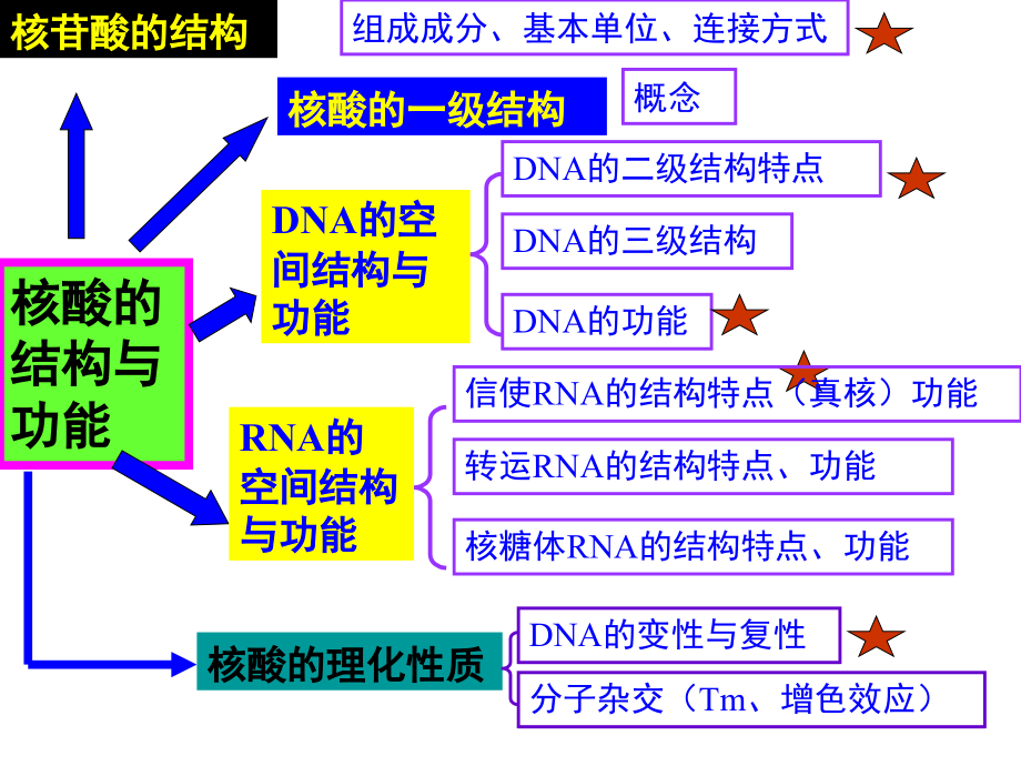 生物化学考试总复习.ppt_第2页