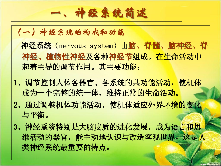神经酸与脑健康讲座-医学课件.ppt_第1页