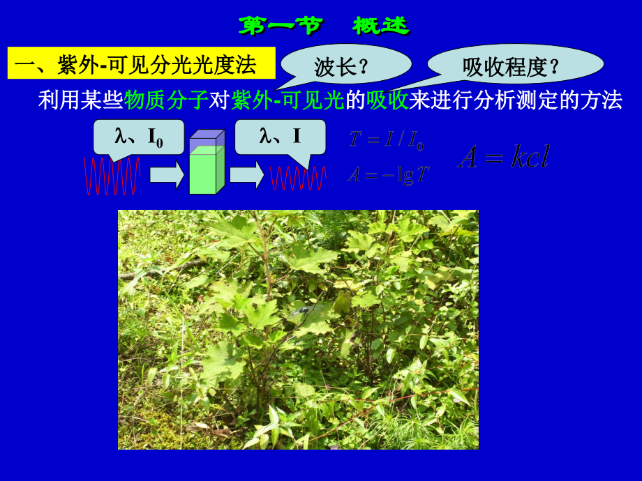 医学紫外可见分光光度法N.ppt_第2页