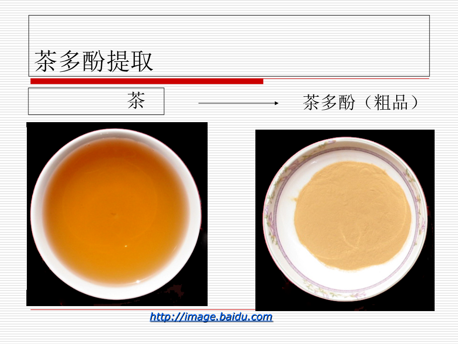 天然产物茶多酚tiqu.ppt_第1页