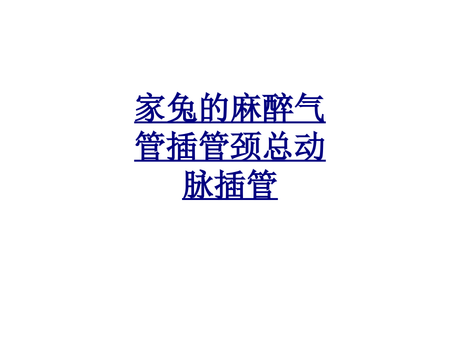 家兔的麻醉气管插管颈总动脉插管讲义.ppt_第1页