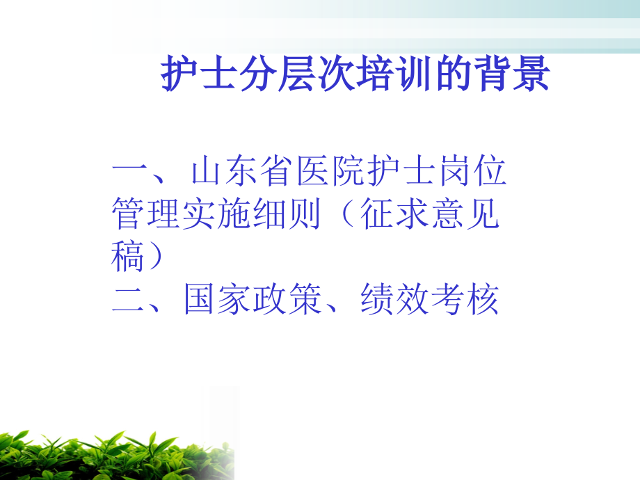 护士的分层.ppt_第1页