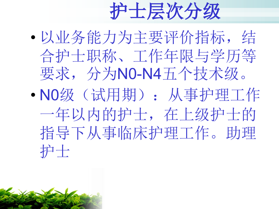 护士的分层.ppt_第2页