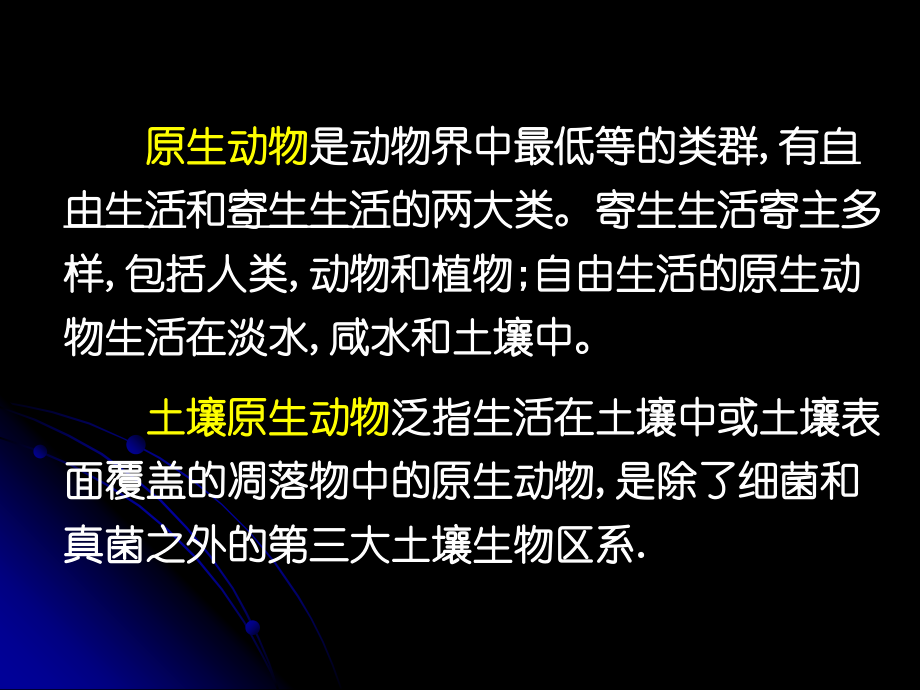 原生动物、多细胞动物早期胚胎发育、腔肠动物及海绵动物研究进展.ppt_第2页
