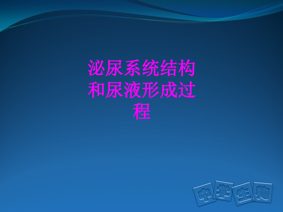 医学泌尿系统结构和尿液形成过程PPT培训课件.ppt_第1页