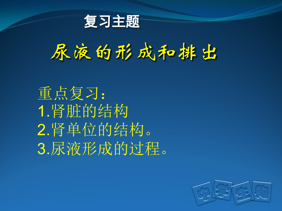 医学泌尿系统结构和尿液形成过程PPT培训课件.ppt_第2页
