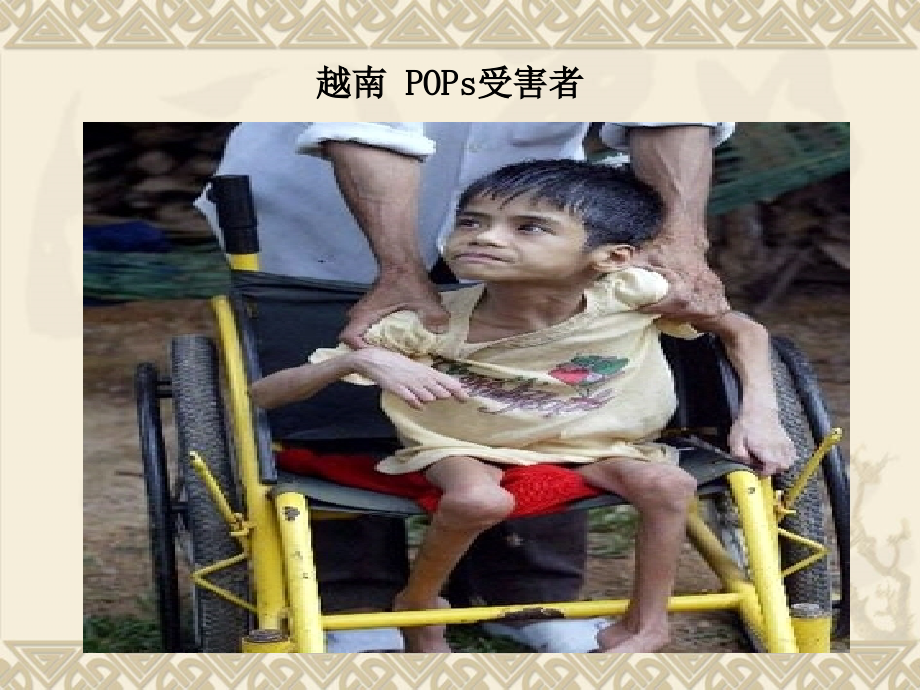 持续性有机污染物.ppt_第1页