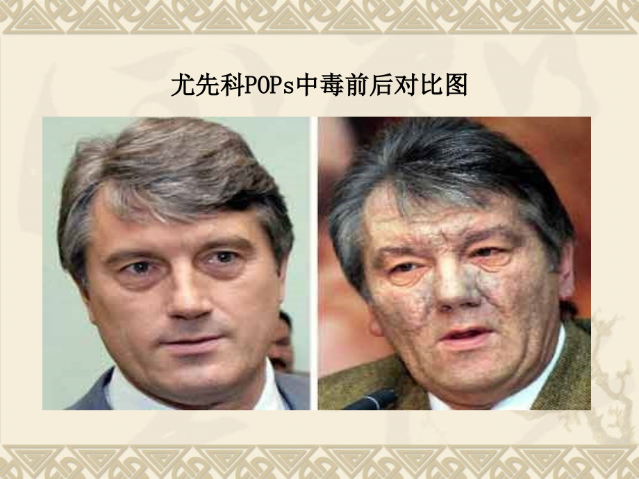 持续性有机污染物.ppt_第2页