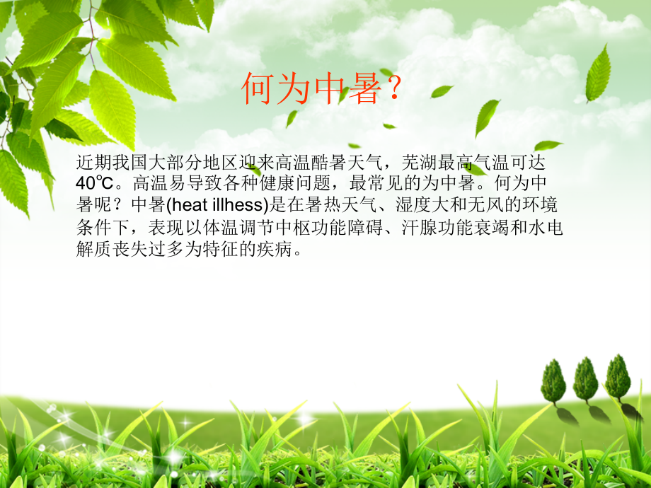 中暑的预防和现场急救知识.ppt_第2页