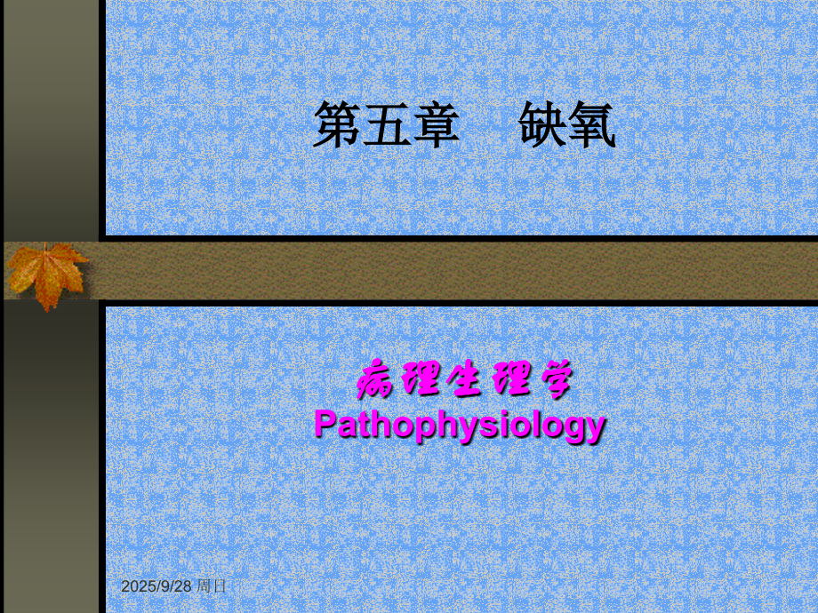 病理生理学5-缺氧.ppt_第1页