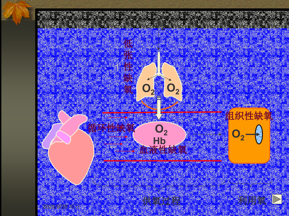 病理生理学5-缺氧.ppt_第2页