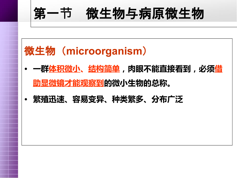 医学微生物学(002).ppt_第2页