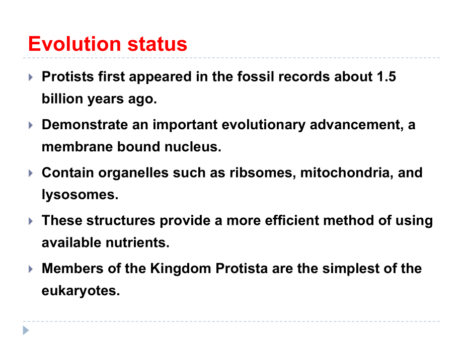 动物生物学-原生动物门课件.ppt_第1页