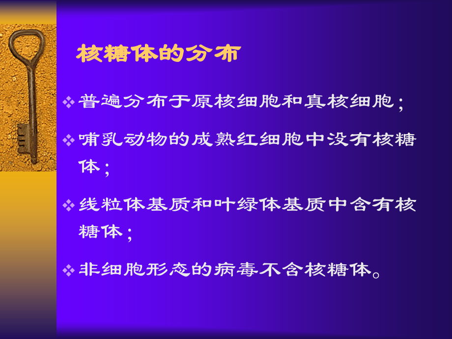 医学细胞生物学-第七章-核糖体.ppt_第2页