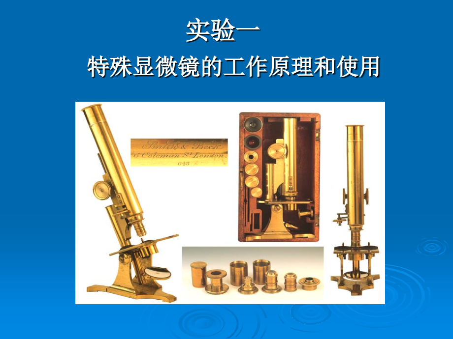 实验一-特殊显微镜的工作原理和使用.ppt_第1页