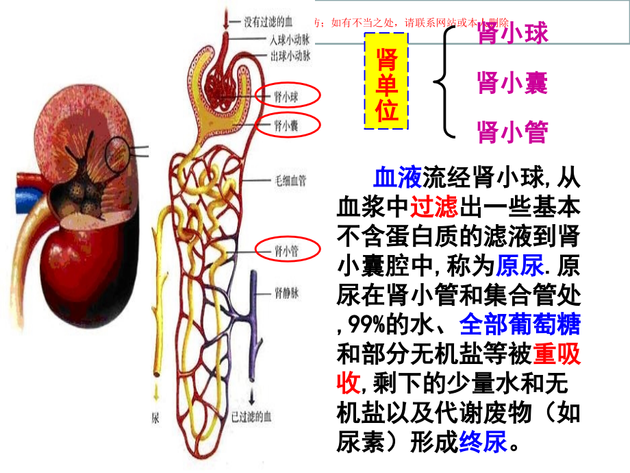 水平衡调节专题讲座课件.ppt_第2页
