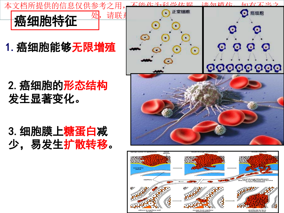 细胞癌变衰老和凋亡.ppt_第2页