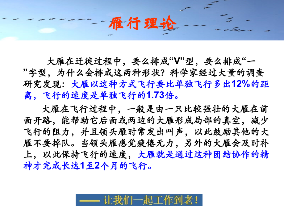 团队精神雁行理论感悟专题培训课件.ppt_第2页