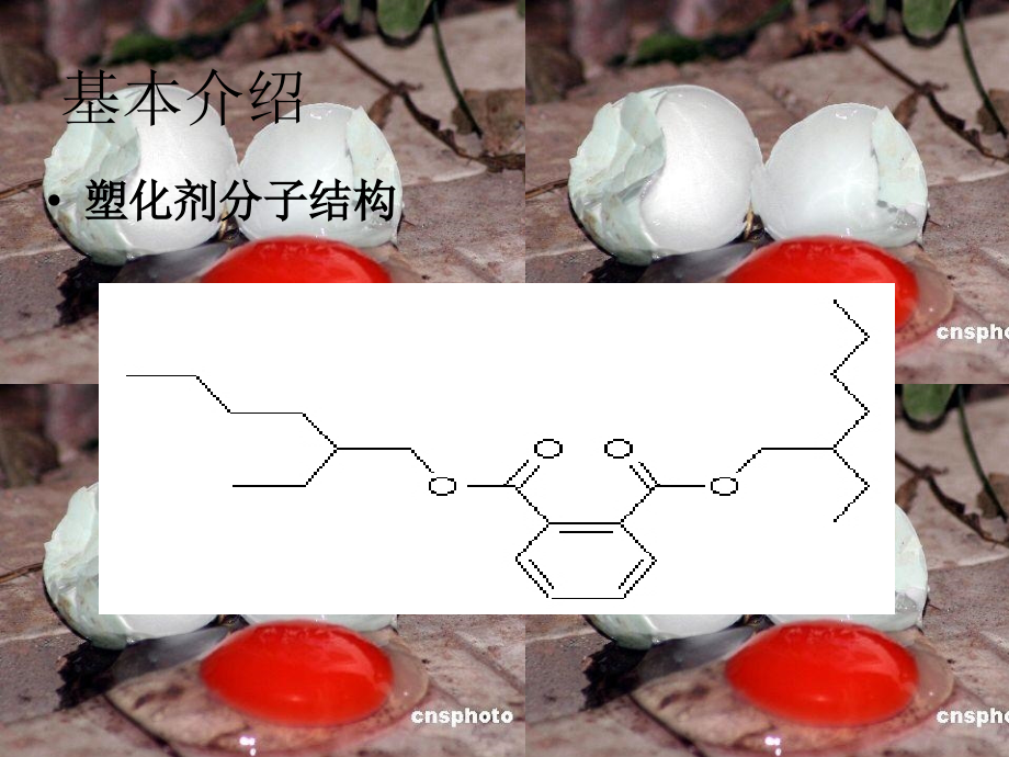 塑化剂的那些事.ppt_第2页