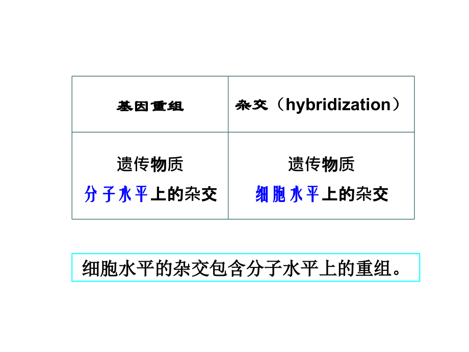 微生物-八遗传(2).ppt_第2页