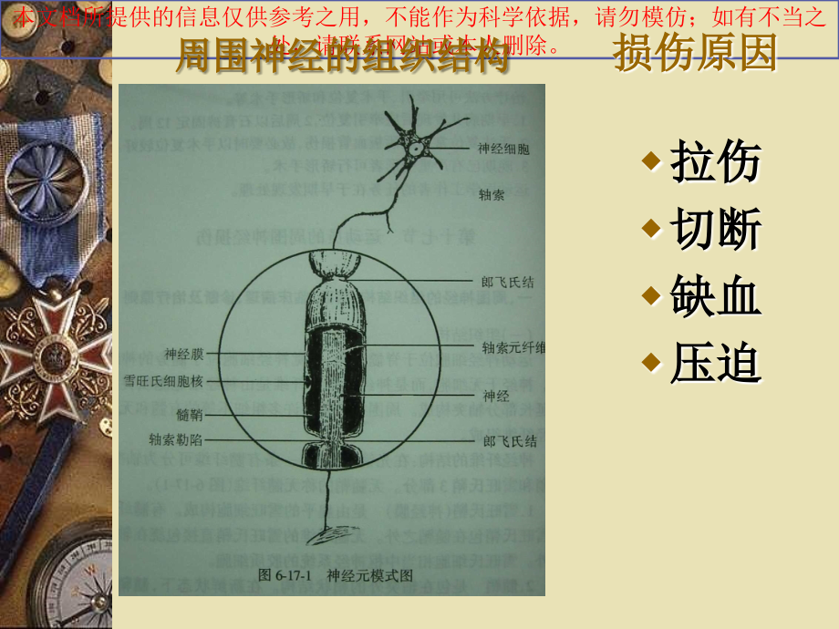 神经损伤专业知识讲座.ppt_第1页