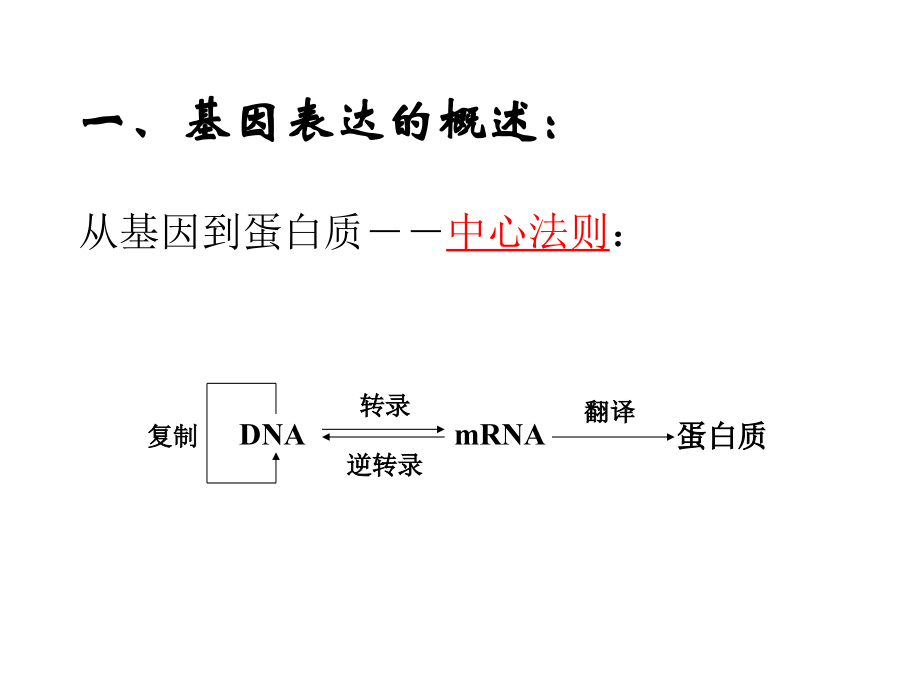 生物基因的表达及调控.ppt_第1页