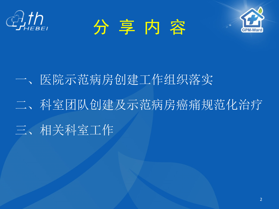 癌痛示范病房建设经验讲义.ppt_第2页