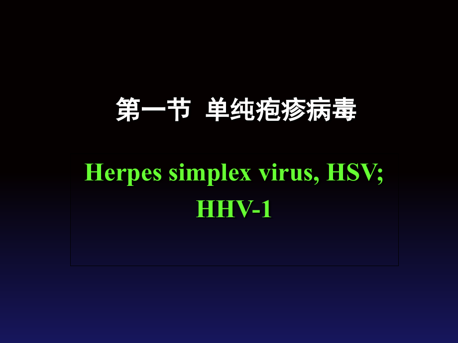 医学微生物学-第32章-疱疹病毒.ppt_第2页