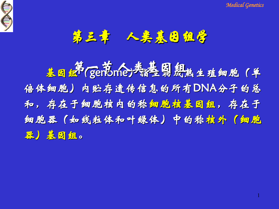 医学遗传学-第三章-人类基因组学.ppt_第1页