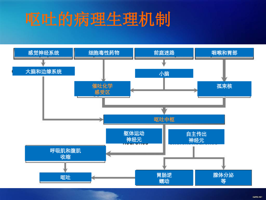 医学止吐药临床应用专题课件.ppt_第2页