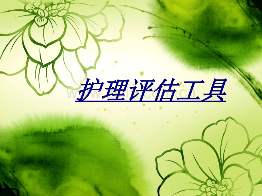 护理评估工具讲义.ppt_第1页