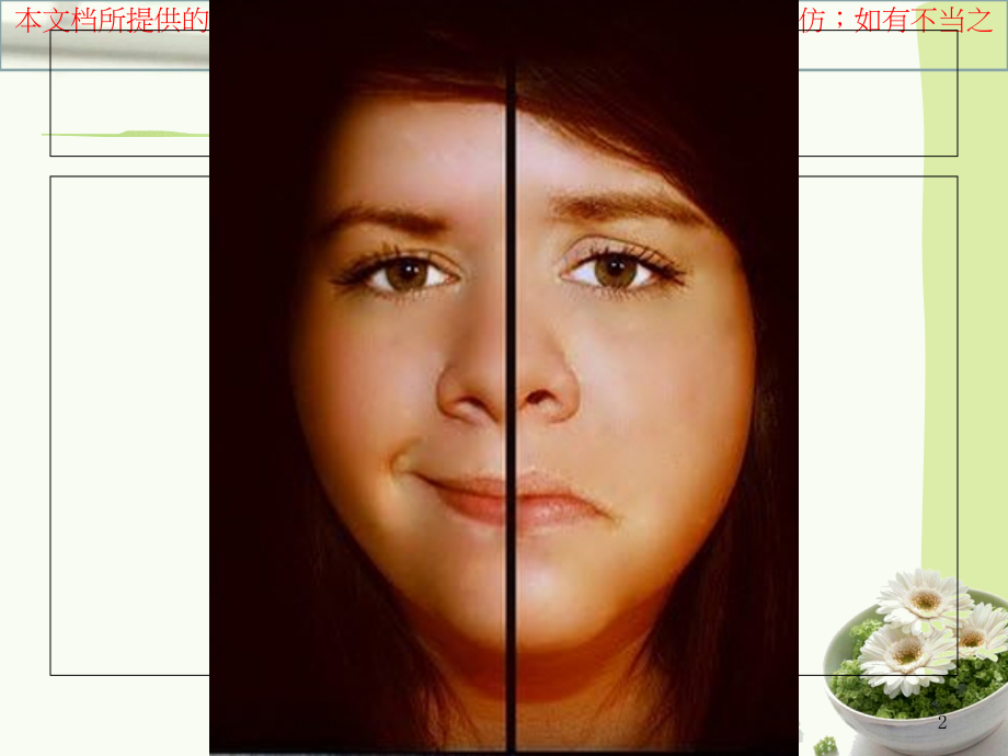 双向情感障碍培训课件.ppt_第2页
