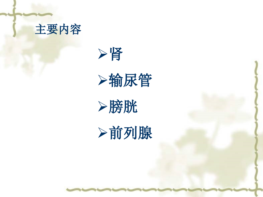 医学泌尿系超声专业知识讲座.ppt_第2页