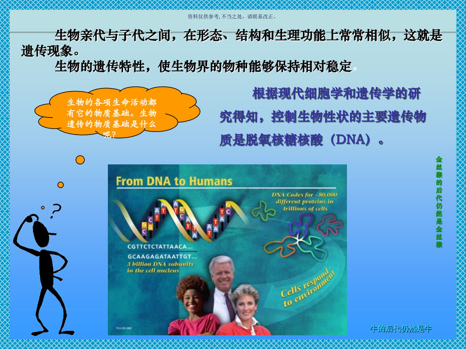核酸和蛋白质的生物合成.ppt_第2页