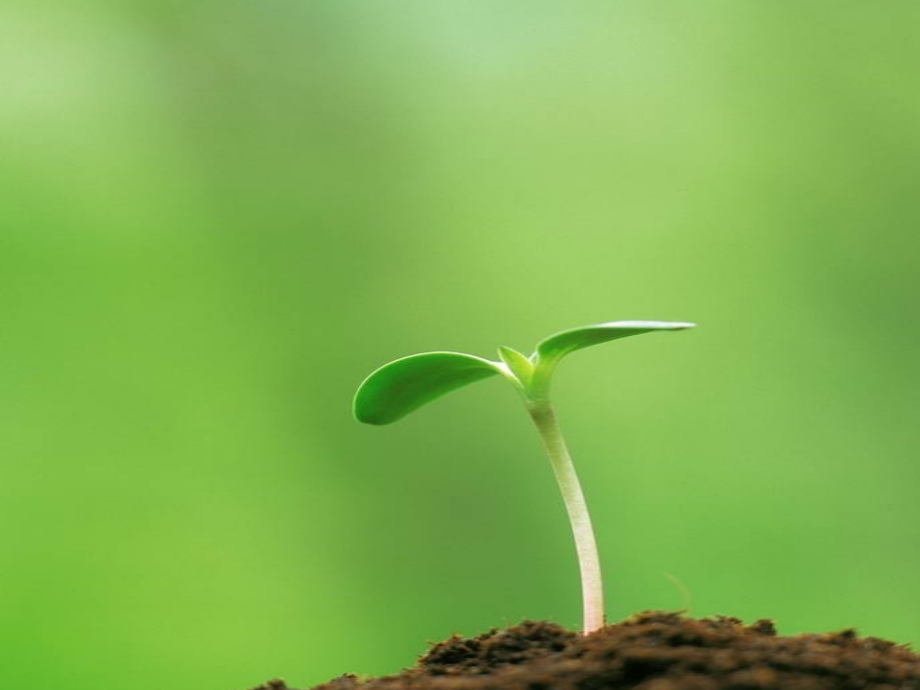 二年级下1.找春天.ppt_第2页