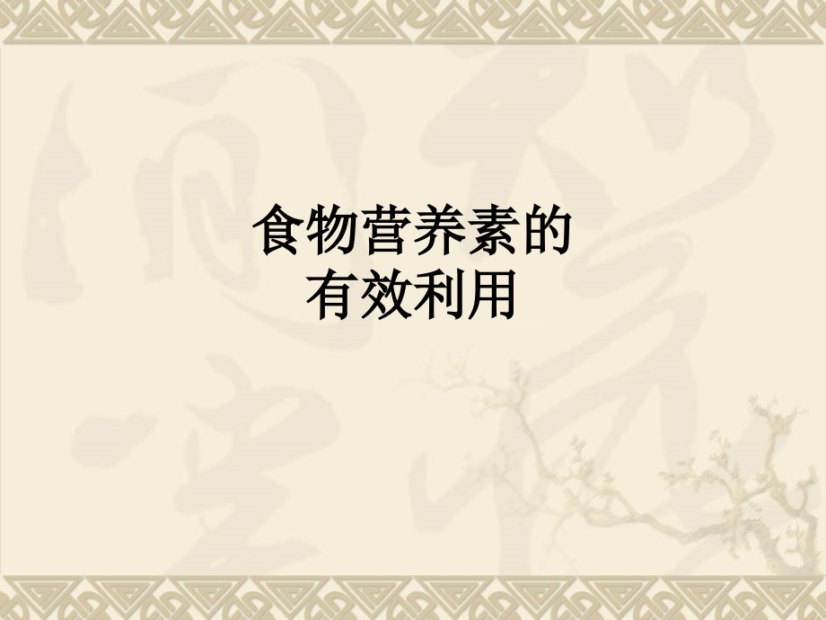 食物营养素的有效利用.ppt_第1页