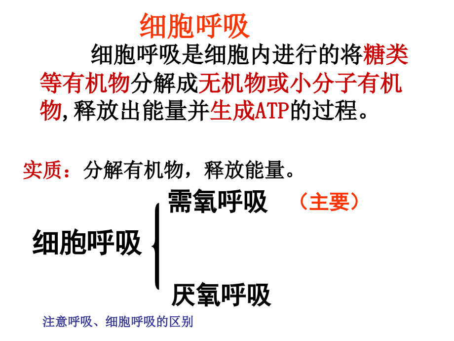 高中生物浙科版细胞呼吸课件.ppt_第2页