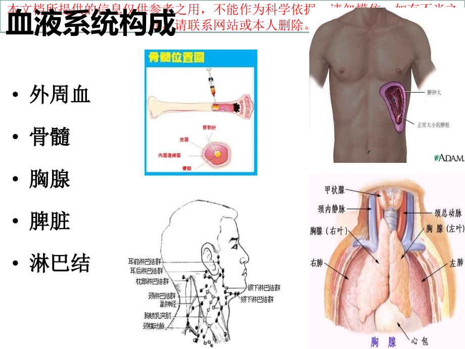 淋巴结中大鉴别诊疗描述培训课件.ppt_第1页