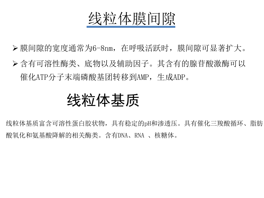 线粒体功能及其相关毒性作用-医学课件.ppt_第2页