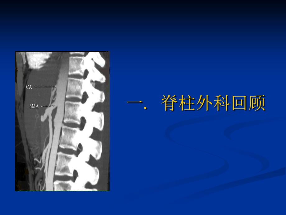 骨科现状与展望.ppt_第2页