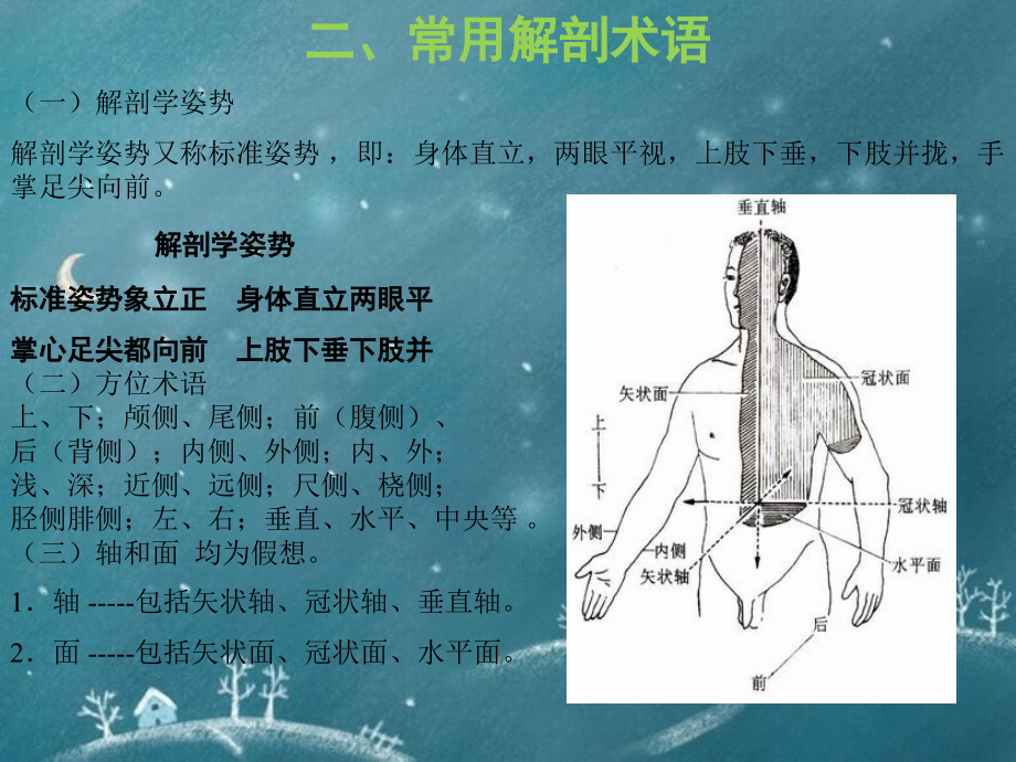 一、系统解剖学和运动系统.ppt_第2页