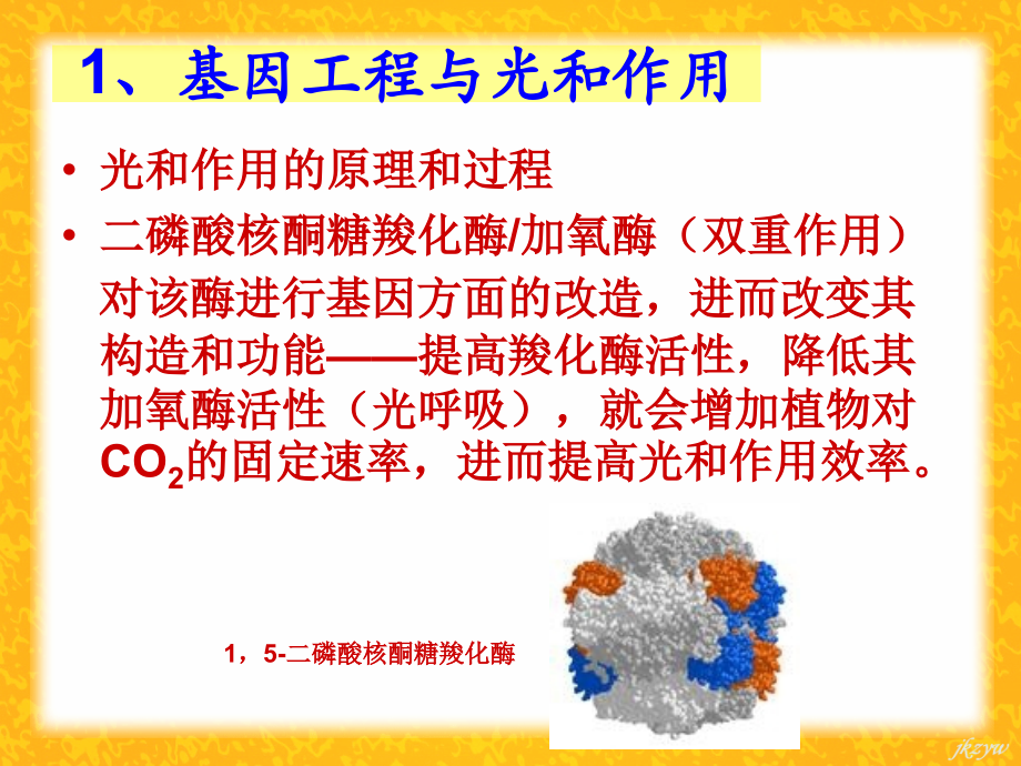 高二生物选修3基因工程的发展前景1.ppt_第2页