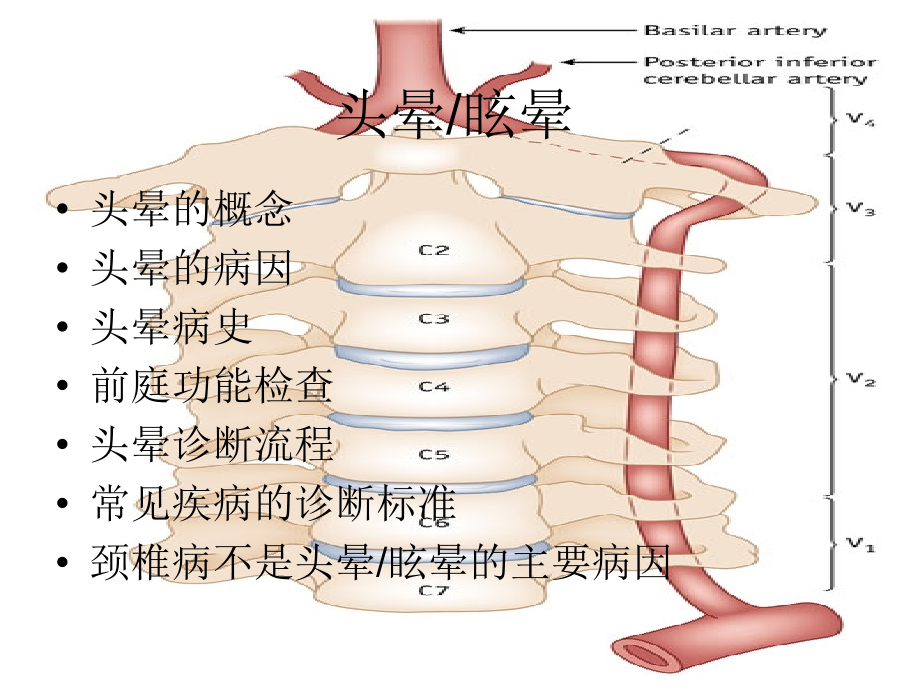 头晕与眩晕诊断.ppt_第2页