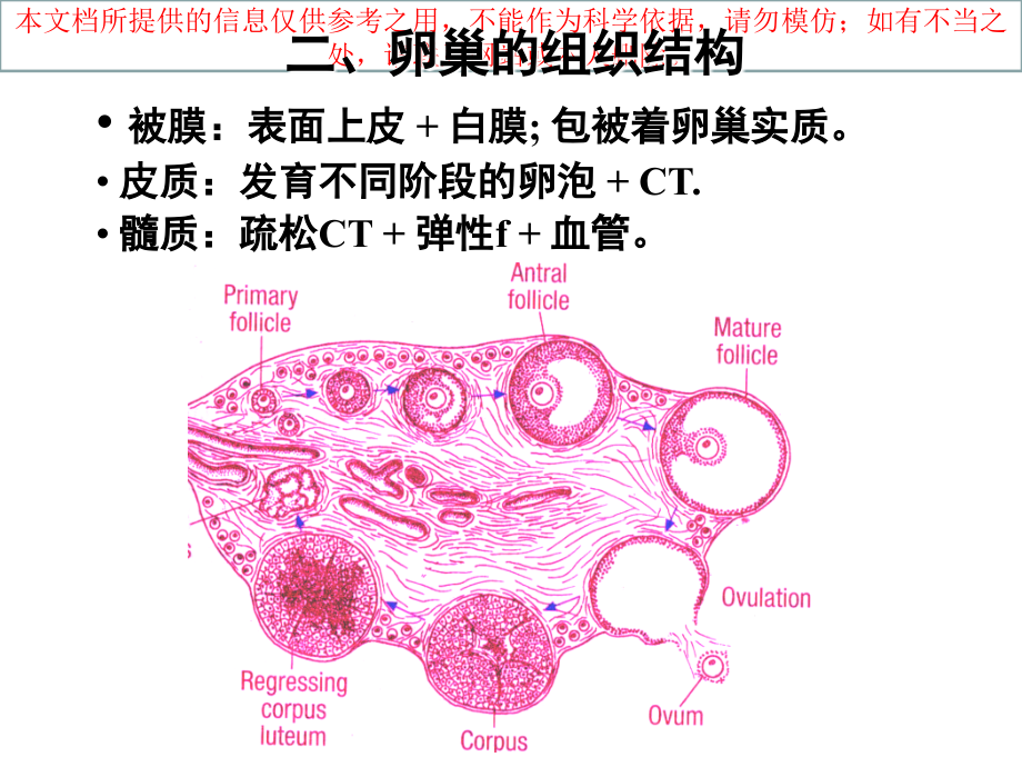 卵子发生医疗培训课件.ppt_第2页