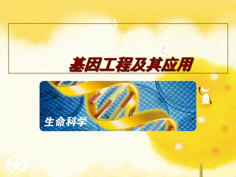高二生物选修3DNA重组技术的基本工具.ppt_第1页