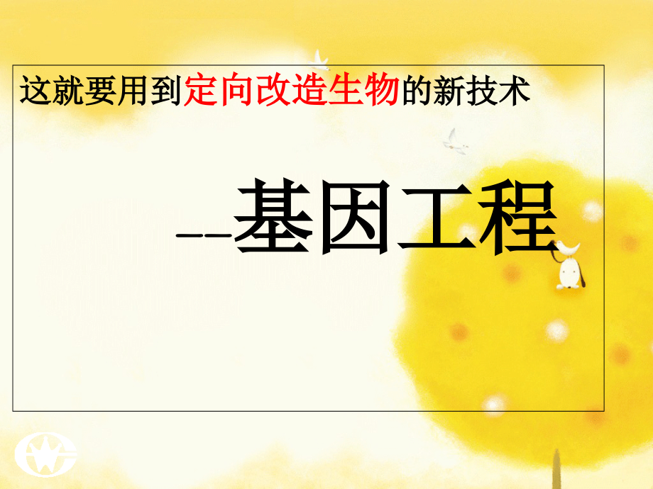 高二生物选修3DNA重组技术的基本工具.ppt_第2页