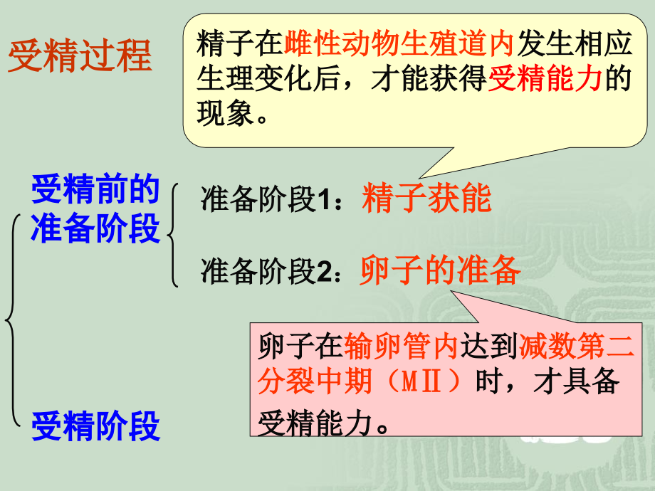 胚胎发育过程专题培训课件.ppt_第1页